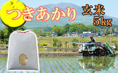 [2024年11月発送開始] 令和6年産 新米 つきあかり 玄米 5kg / 米 産地直送 岩手県産 [かきのうえ]