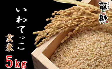 [八幡平市産] いわてっこ 玄米 5kg / 十一代目藤助 米 産地直送 農家直送