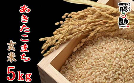 [2024年11月発送開始] 令和6年産 新米 岩手県産 あきたこまち 玄米 5kg / 十一代目藤助 米 産地直送 農家直送