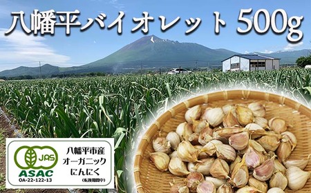 オーガニックにんにく 八幡平バイオレット 500g(バラ) / すばるファーム ニンニク 大蒜 野菜 産地直送