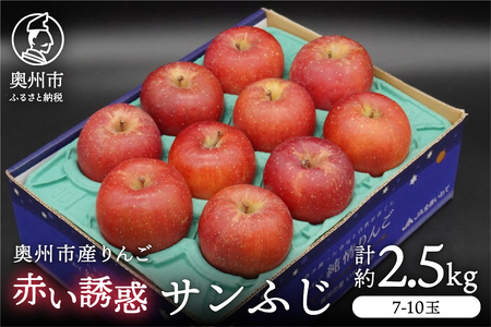 奥州市産りんご 赤い誘惑「サンふじ」約2.5kg 7-10玉 [AQ079]