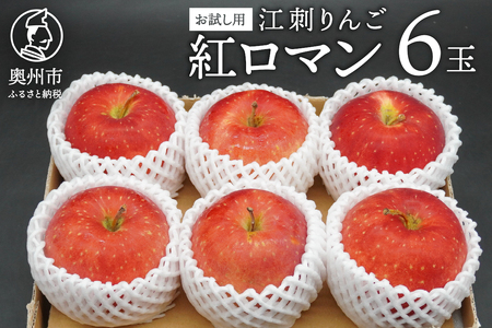 お試し用 江刺りんご「紅ロマン」6玉 [AQ089]
