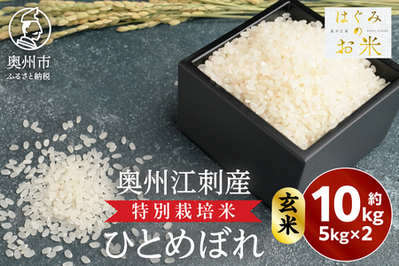 特別栽培米 hugmiのお米 奥州江刺産 ひとめぼれ 約10kg(約5kg×2袋)玄米 [BJ007]