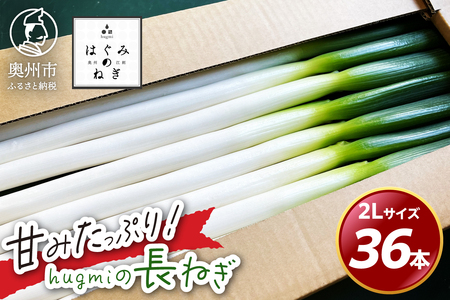 hugmiの長ねぎ 6kg (3kg×2個) 2Lサイズ [BJ013]
