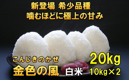  【白米20kg】新登場の高級米 令和6年産 岩手県奥州市産 金色の風 白米20キロ [AC034]