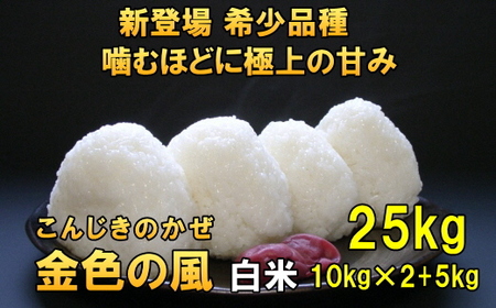 【白米25kg】新登場の高級米 令和6年産 岩手県奥州市産 金色の風 白米25キロ 【14日以内発送】 [AC035]