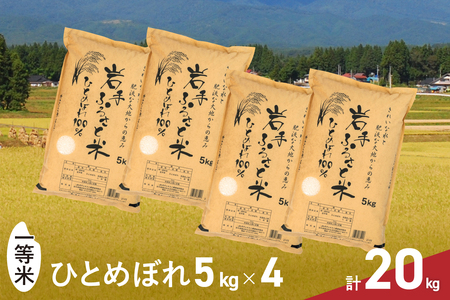 20kg(5kg×4) 茧BsYЂƂ߂ڂ [U0218]