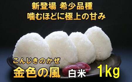 新登場の高級米 岩手県奥州市産 金色の風 白米1kg [AC024]