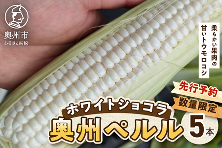 [先行予約]白いとうもろこし奥州ペルル(ホワイトショコラ) 5本[数量限定]2026年7月中旬から出荷 離島配送不可 [T0028]