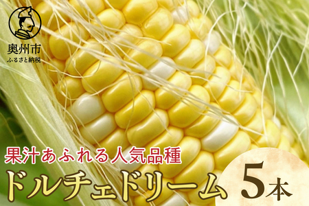 [先行予約]とうもろこし ドルチェドリーム5本 [数量限定] 2026年7月中旬から出荷 離島配送不可 [T0029]