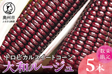 [先行予約]とうもろこし 大和ルージュ5本[数量限定]2026年9月上旬から出荷 離島配送不可 [T0030]