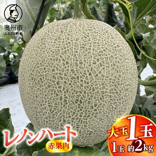 レノンハート(赤果肉) 大玉1個[数量限定][CL004]