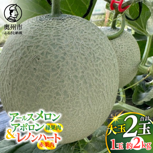 2種類アールスメロン詰め合わせ アールスメロン アポロン(緑果肉) レノンハート(赤果肉) 各1個 合計2個 【数量限定】[CL005]