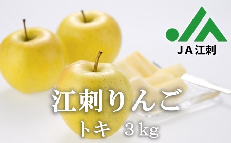 [2024年10月4日から受付開始]江刺りんご トキ3kg (8〜10玉)[期間限定・数量限定] ブランドフルーツ 厳選 [JA江刺] [A0043]