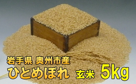 【玄米5kg】人気沸騰の米 岩手県奥州市産ひとめぼれ 令和5年産 玄米5キロ【7日以内発送】 [AC013]