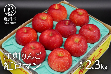 数量限定 江刺りんご 紅ロマン 2.3kg(8〜11玉) [8月下旬以降お届け]離島配送不可 [AQ021]
