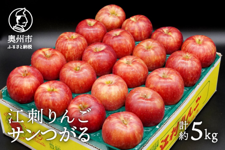 数量限定 江刺りんご サンつがる 5kg(16〜20玉) [9月中旬以降お届け]離島配送不可 [AQ022]