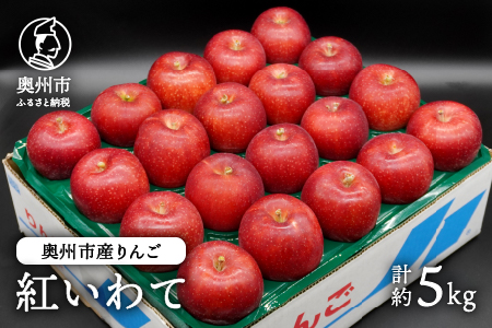 数量限定 奥州市産りんご 紅いわて 5kg(14~20玉) [10月上旬以降お届け]離島配送不可 [AQ024]