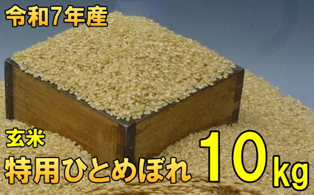 ���ʌ��� �ߘa7�N�Y ��茧���B�s�Y ���p�ЂƂ߂ڂ� ���� 10kg �������� �ً}�x�� [AC040]