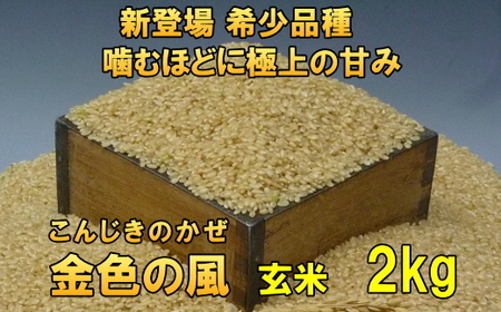 [玄米2kg]新登場の高級米 岩手県奥州市産 金色の風 令和6年産 玄米2キロ [AC025]