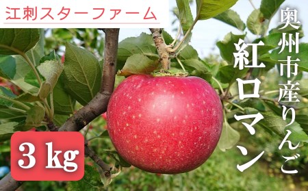 [スターファーム]こだわり栽培の 紅ロマン 厳選品 3kg 岩手県奥州市産りんご 産地直送 離島配送不可 [AY001]