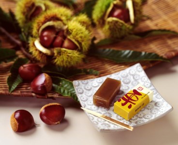 ԌI Jr ЂƂI 24 `aَq [F0008]