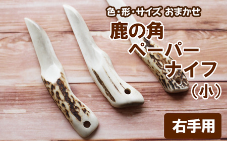 [色、形、大きさおまかせ]鹿の角 ペーパーナイフ (小)1個 右手用 どちらか選べる[竜鹿] / 本物 加工 鹿