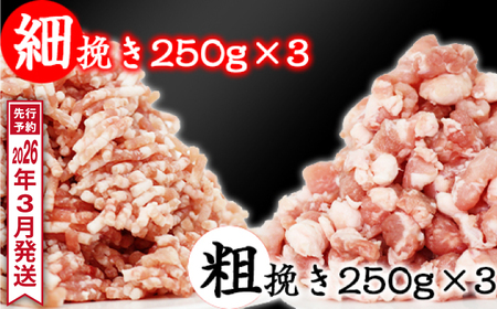 s 2026N 3t Y l ҂  ^pbN 250g 6  1500g ^ 肷ہ[   ؓ Ђ ~` e҂ ה҂ QTO 2 Q U 1.5kg PDT 