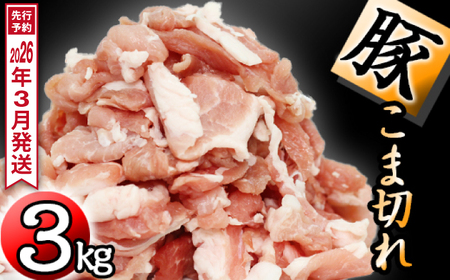 s 2026N 3t Y l Ԑ؂  Zbg ^pbN 300g 10  3000g ^ 肷ہ[   ؓ ؂ ؏ ؂藎Ƃ ROO 3kg R ROOO  