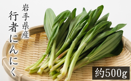 行者にんにく 約 500g [滝沢産業開発株式会社] / にんにく 大蒜 ニンニク 野菜 山菜 春野菜