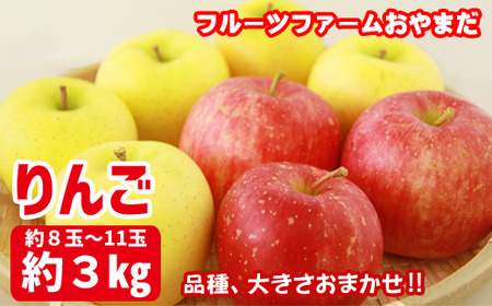 y 2025N 10{蔭z 茧Y  ƒp 3kg  8  11 ^yt[ct@[܂z i ܂ S ь Abv 3L Rkg ʕ  t[c fU[g