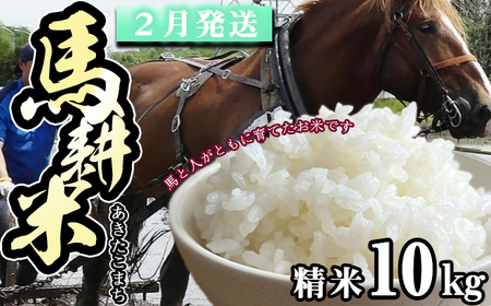 [ 2026年 2月中旬より発送] 岩手県産 馬耕米 あきたこまち 精米 10kg /[株式会社スタディア] お米 白米 こめ コメ 馬ふん堆肥 使用 ご飯 ライス おにぎり 弁当 単一原料 10キロ 10kg 馬耕 馬 ウマ うま 産地直送 国産 おすすめ 人気