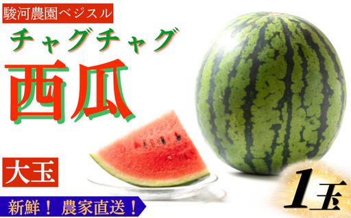 [ 先行予約 2026年 8月 発送] チャグチャグスイカ 2L 7kg 以上 1玉 [駿河農園ベジスル] 滝沢スイカ すいか スイカ 西瓜 1玉 2L 大玉 夏 風物詩 定番 旬 フルーツ 果物 くだもの 人気 美味しい 甘い おすすめ オススメ 産地直送 国産 岩手県産 オススメ おすすめ