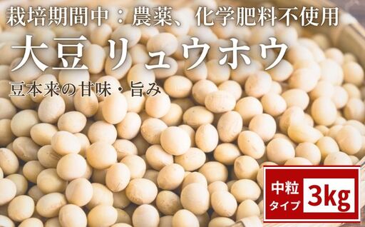 栽培期間中:農薬不使用 大豆 りゅうほう 3kg 【へいわのうえん】 豆 まめ マメ ダイズ 中粒 国産 なっとう 納豆 豆腐 トウフ とうふ 自家製 きなこ きな粉 ミソ 味噌 みそ 煮物 水煮 サラダ カレー トッピング 食材 常備食 大容量 人気 オススメ おすすめ