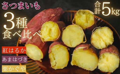 [ 先行予約 10月 発送] 滝沢産 さつまいも セット 5kg 紅はるか あまはづき 栗かぐや [駿河農園ベジスル] サツマイモ さつま芋 薩摩芋 5キロ 5キロ 5kg 5000g M L LL 3L やさい 野菜 冬野菜 秋 風物詩 定番 旬 焼き芋 やきいも 焼芋 いも 芋 イモ おやつ 人気 国産 岩手県産 産地直送 予約 おすすめ オススメ