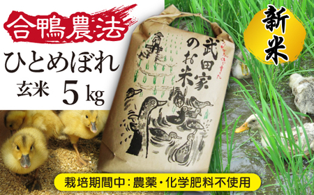 [令和5年度産]武田家のお米 ひとめぼれ(玄米)5kg[合鴨農法][米農家 仁左ェ門] / 米 げんまい 5キロ アイガモ