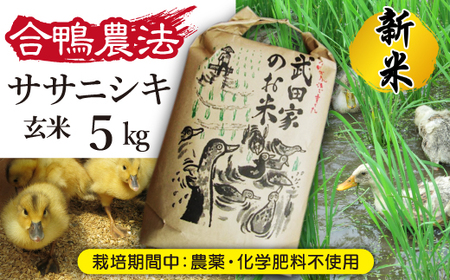 [令和5年度産]武田家のお米 ササニシキ(玄米)5kg[合鴨農法][米農家 仁左ェ門] / 米 げんまい 5キロ アイガモ