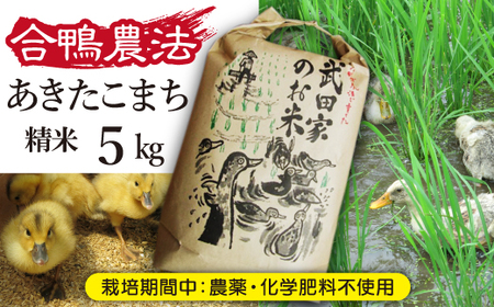 [令和5年度産]武田家のお米 あきたこまち(精米)5kg[合鴨農法][米農家 仁左ェ門] / 米 白米 5キロ アイガモ