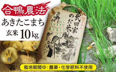 [令和5年度産]武田家のお米 あきたこまち(玄米)10kg[合鴨農法][米農家 仁左ェ門] / 米 5キロ 2袋 アイガモ