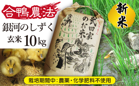 [令和5年度産]武田家のお米 銀河のしずく(玄米)10kg[合鴨農法][米農家 仁左ェ門] / 米 5キロ 2袋 アイガモ