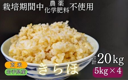 [ 2025年 10月下旬より発送] 岩手県産 新米 きらほ 玄米 20kg / 農薬 化学肥料 :栽培期間中 不使用 武田家のお米[米農家 仁左ェ門] 米 こめ コメ ご飯 ライス おにぎり 弁当 単一原料 低アミロース米 希少 稀少 20キロ 20kg 産地直送 農家直送 国産 おすすめ 人気