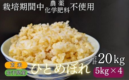 [ 2025年 11月下旬より発送] 岩手県産 新米 ひとめぼれ 玄米 20kg / 農薬 化学肥料 :栽培期間中 不使用 武田家のお米[米農家 仁左ェ門] 米 こめ コメ ご飯 ライス おにぎり 弁当 単一原料 20キロ 20kg 産地直送 農家直送 国産 おすすめ 人気
