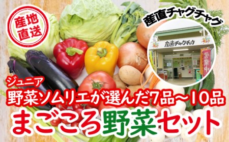 AY-001 滝沢まごころ野菜セット（７品から１０品）【滝沢産業開発】
