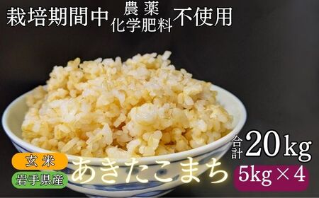 y 2025N 11{蔭z 茧Y V ܂  20kg ^ _ w엿 F͔|Ԓ sgp cƂ̂āyĔ_ mFz   R  CX ɂ ٓ Pꌴ
