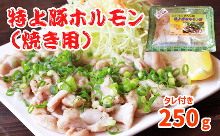 特上豚ホルモン 焼き用250g タレ付き[さくら亭]/ ホルモン鍋 豚肉 ホルモン