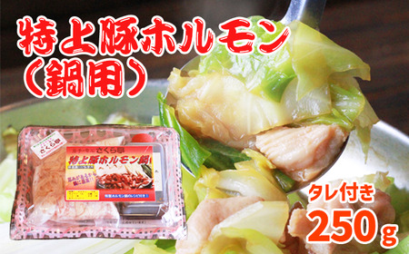 特上豚ホルモン 鍋用250g タレ付き[さくら亭]/ ホルモン鍋 豚肉 ホルモン
