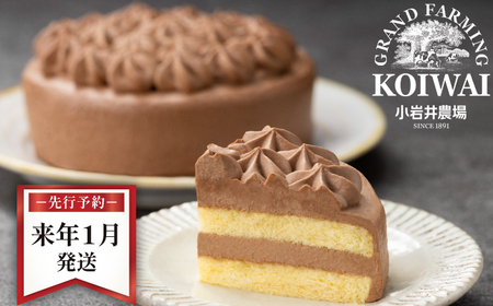 y 2026N 1z _ N[VR P[L 4 ^ lC XC[c fU[g  َq  mَq `R[g `R VR z[P[L S  Mtg