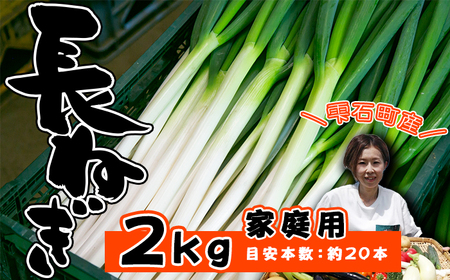 岩手県産 極楽野 長ねぎ 2kg 目安本数 約 20本 家庭用 [高橋農園]/ 長ネギ 長葱 ねぎ ネギ 葱 白ねぎ 白ネギ 白葱 新鮮 野菜 やさい 人気野菜 国産 EM栽培 産地直送 農家直送 季節限定 期間限定 人気 薬味 鍋 串焼き おすすめ