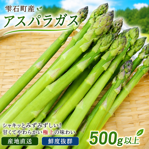 農家直送 国産 アスパラ M 〜 LL 総量 500g 以上 [ファーム菅久] アスパラガス グリーンアスパラ 旬 野菜 やさい 冬野菜 新鮮 産地直送 岩手県 雫石町 500グラム 500g 大容量 甘い みずみずしい おすすめ 家庭用 プレゼント ギフト 料理 バーベキュー BBQ キャンプ お取り寄せ 冷蔵 人気 ハウス栽培