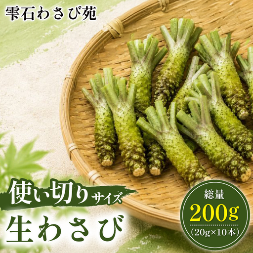栽培期間中 農薬 化学肥料 不使用 国産 わさび 使い切り 約 20g 10本 総量 200g [雫石わさび苑] 野菜 やさい 香味野菜 山葵 ワサビ 生 生ワサビ 山葵 薬味 産地直送 日本産 新鮮 調味料 辛味 和食 料理 200g 200グラム プレゼント ギフト ご贈答 贈り物 おすすめ 冷蔵発送 お取り寄せ 仕送り 自宅用 家庭用